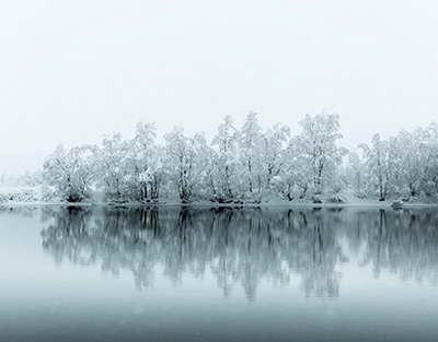 Illegal BADs were detected in Namangan, a large-scale scheme was exposed