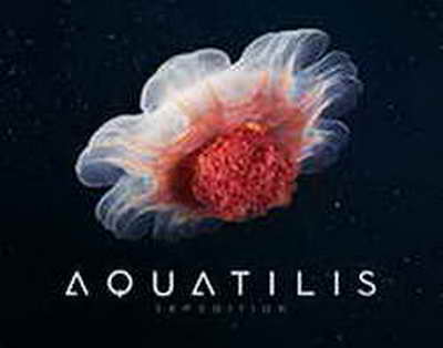 Астана мен Алматыда Жаңа адамдар Ayana clinic-те жалған медициналық анықтамалардың сатылу дерегін анықтады